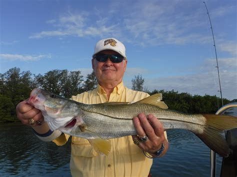 Fishing In Sarasota A Complete Guide Siesta Key Fishing Charters