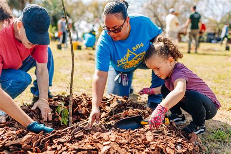 Don't be afraid to cut things out if they get overcrowded. Planting 100 Fruit Trees with The Fruit Tree Planting ...