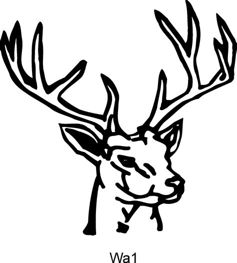Deer Head Outline Drawing At Getdrawings Free Download