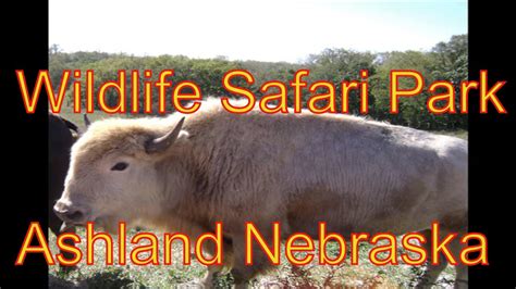 Henry Doorly Zoo Drive Thru Wildlife Safari Park Ashland Nebraska Youtube