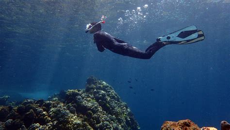 Free Diving And Snorkelling In Phuket · Local Dive Thailand