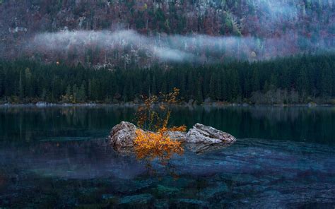 Grey Rock Lake Rocks Forest Mist Hd Wallpaper Wallpaper Flare