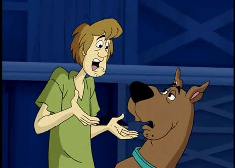 Shaggy Rogers Scooby Doo Daily