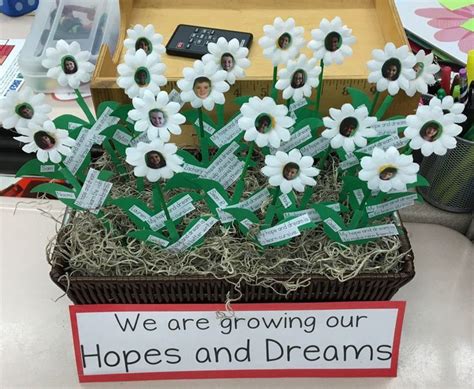 top 47 ideas about hopes and dreams in elementary classrooms on pinterest