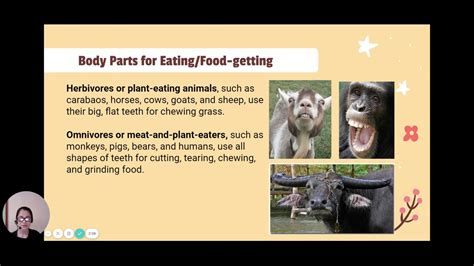 Body Parts Of Animals For Moving And Eating Youtube