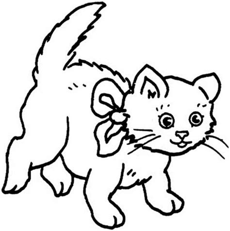 Bei leichter verstopfung können verschiedene hausmittel helfen. Bild Zum Ausmalen Katze - Test