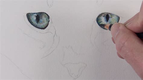 How To Draw Cat Eyes With Colored Pencils