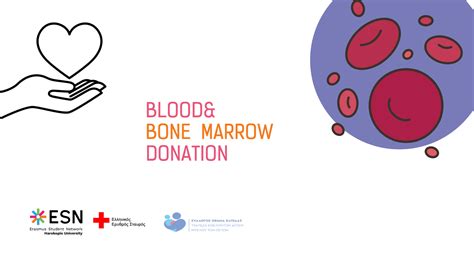 Blood And Bone Marrow Donation Esn Haro