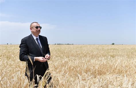 Azerbaijani President Attends Ceremony To Start Grain Harvest In