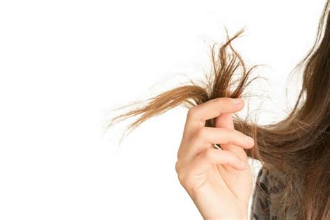 8 Types Of Hair Damage Causes Fixes And Prevention