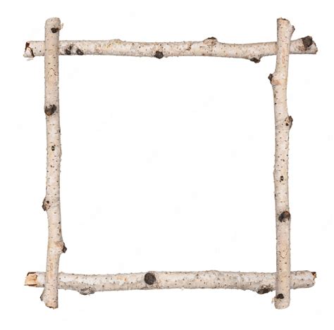 Premium Photo Twig Frame Of Birch