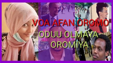 Voa Afaan Oromo Oduu Olmaya Oromiya Hidhafi Ajechan Oromiya Kesati