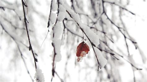 Vine Iarna în România Temperaturile Scad Brusc în Perioada Următoare