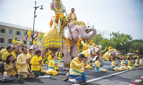 Elephants march in Thailand to pay respects to newly crowned king ...