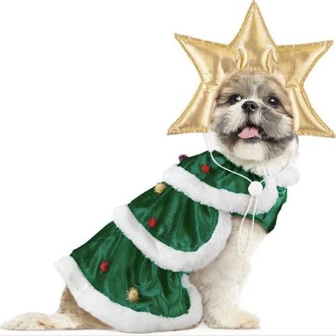 A Dog Dressed Up In A Christmas Outfit With A Gold Star On Its Head And
