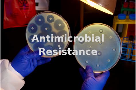 Antimicrobial Resistance Amr Archives Global Health Impact Group