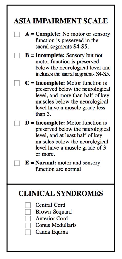 International Standards For Classification Of Spinal Cord Injury Motor