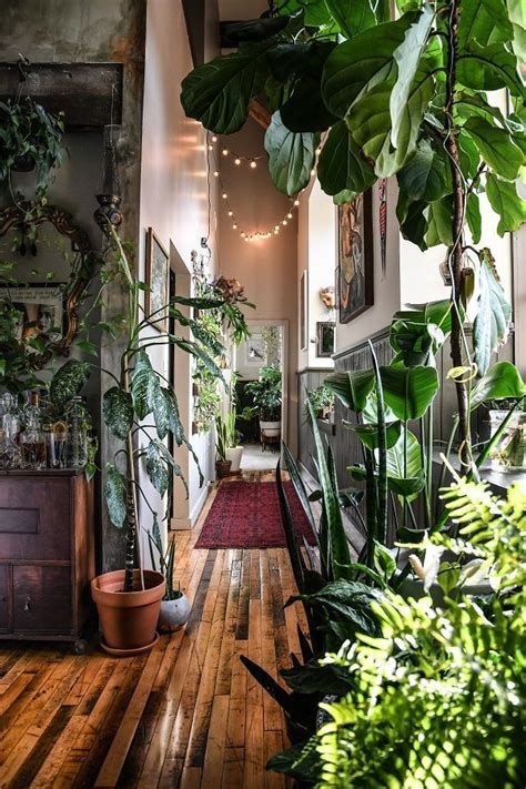 Plant Filled Apartment Houseplants Indoor My Scandinavian Home
