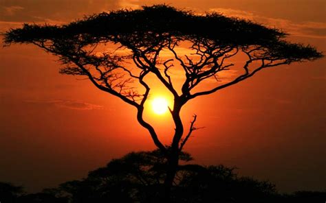 Amazing  A Sunset In South Africa