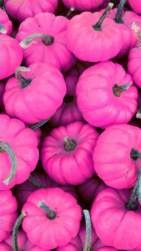 The 25 Best Pink Pumpkins Ideas On Pinterest Pink Pumpkin Party