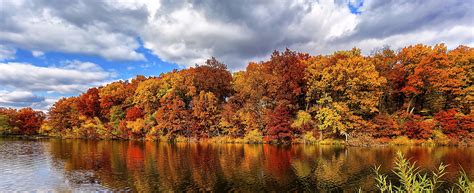 3840x1569 Autumn 4k Hd Wallpaper Download Autumn Forest Forest Lake