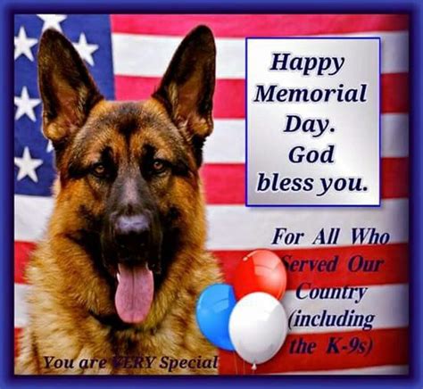 Pin By Brenda Guffey On Funny Things Happy Memorial Day You Are