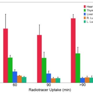 Selene capitanio, francesca bongioanni, arnoldo piccardo, claudio campus, roberta gonella, lucia. (PDF) Ferret thoracic anatomy by 2-deoxy-2-(18F)fluoro-D ...