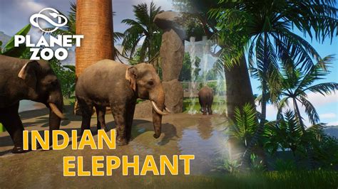 Planet Zoo Indian Elephant Habitat Speed Build Youtube