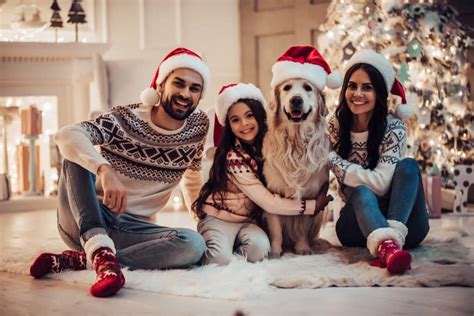 British royal family christmas cards 2019. 15+ Fun Christmas Card Ideas With Dogs | Shutterfly