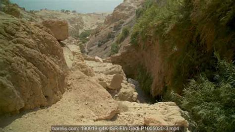 Man Climbs Down The Trail To Dudim Davids Cave At Ein Gedi P1005020