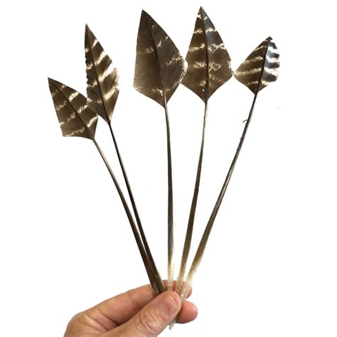 Turkey Wing Arrowhead Feather Natural Bronze Au