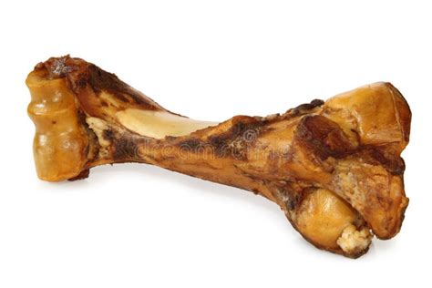 18906 Dog Bone Stock Photos Free And Royalty Free Stock Photos From