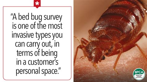 Pestwatch Bed Bugs Fail To Prepare Prepare To Fail