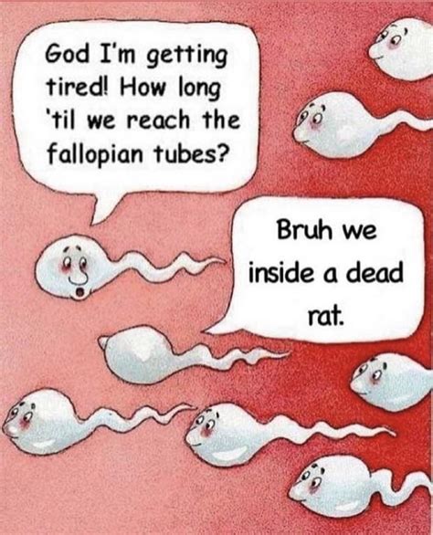 Bruh We Inside A Dead Rat Two Sperm Cells Talking Know Your Meme