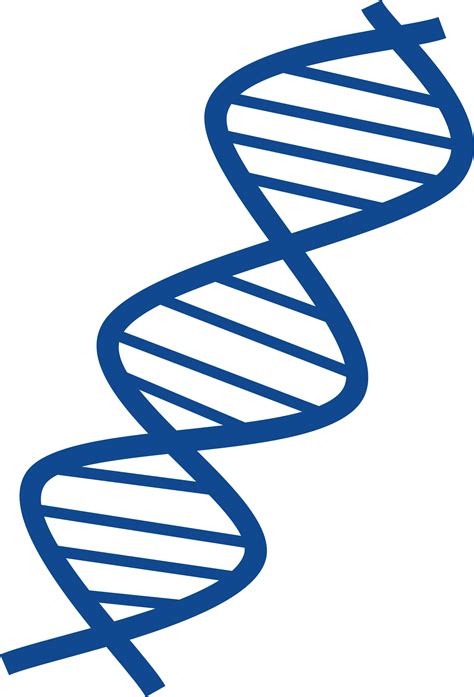 dna png