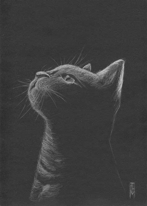 Hoy en este blog te regalamos dibujos a lápiz fáciles y bonitos con los que podrás sacar ideas y podrás inspirarte para dibujar en cualquier ocasión. Gato mirando a la luna por apmesa | Dibujando