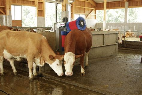 In thane, is an innovative pest control solutions provider with an edge. Cow Cleaning Machine HAPPYCOW Duo - Cattle Breeding and ...