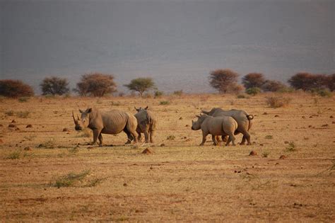Marakele National Park Kirabo Safaris