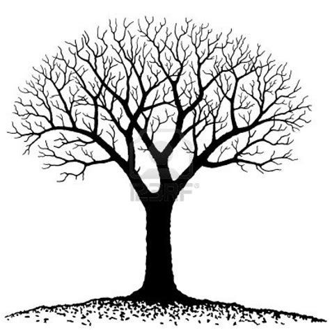 The Freelance Retort: Stubborn Maples