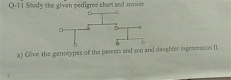 Study The Given Pedigree Chart And Answer The Question That Follow Is