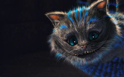 Cheshire Cat Backgrounds Hd Pixelstalknet