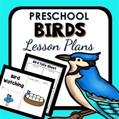 Bird Theme Preschool Classroom Lesson Plans Preschool Teacher 101