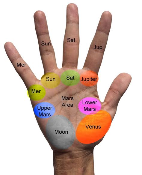 A Guide To Palm Reading With Pictures How To Read Your Own Palm Palm