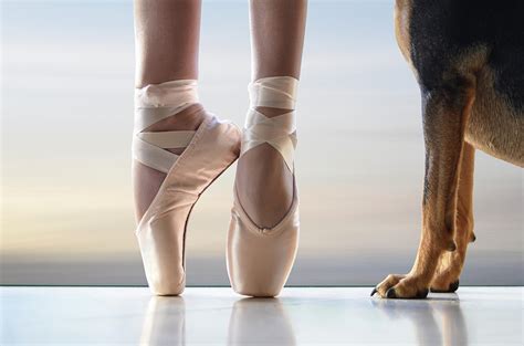 Shall We Dance On Pointe Photograph By Laura Fasulo Pixels