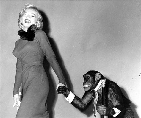 Marilyn Monroe In A Promotional Photo For Monkey Business By John