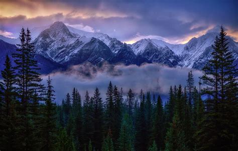 Photography Nature Landscape Snowy Peak Mountains Forest Mist Clouds