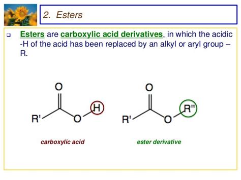 Carboxylic Acids And Carboxylic Acid Derivatives