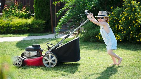 Do You Have A License To Mow That Lawn 5 Ways Occupational Licensing