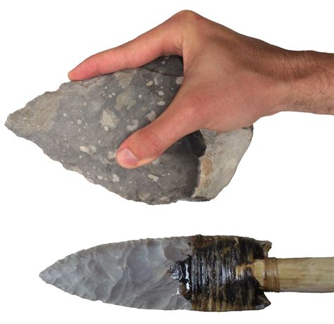 Stone Tools Reveal Modern Human Like Gripping Capabilities 500000 Years Ago