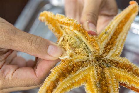 Can You Eat Starfish
